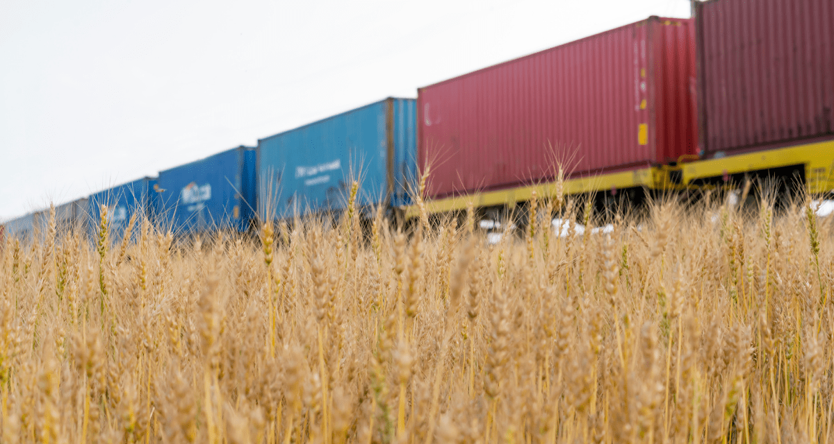 Rail transport of grains, between economy and sustainability